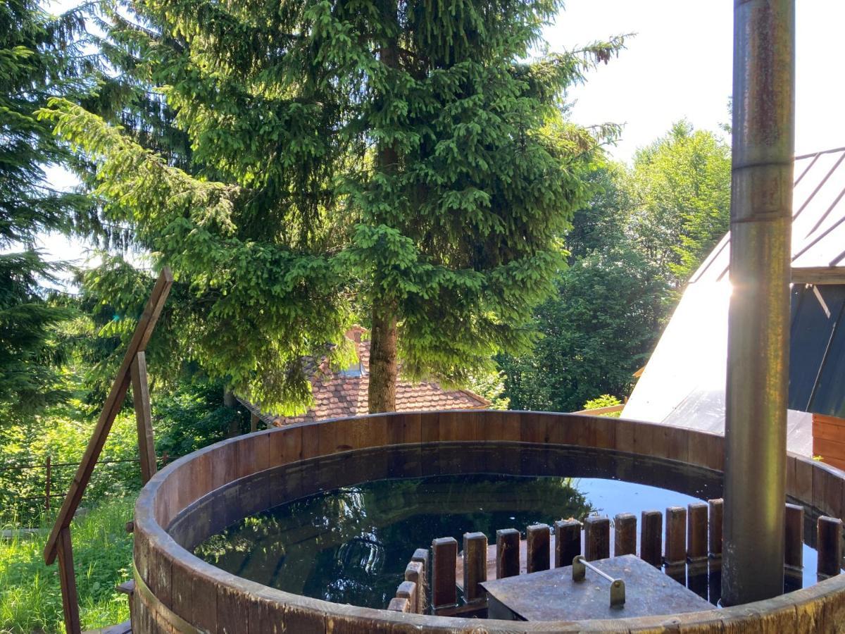 Ven Fenyo Kunyho Villa Ciceu Екстериор снимка