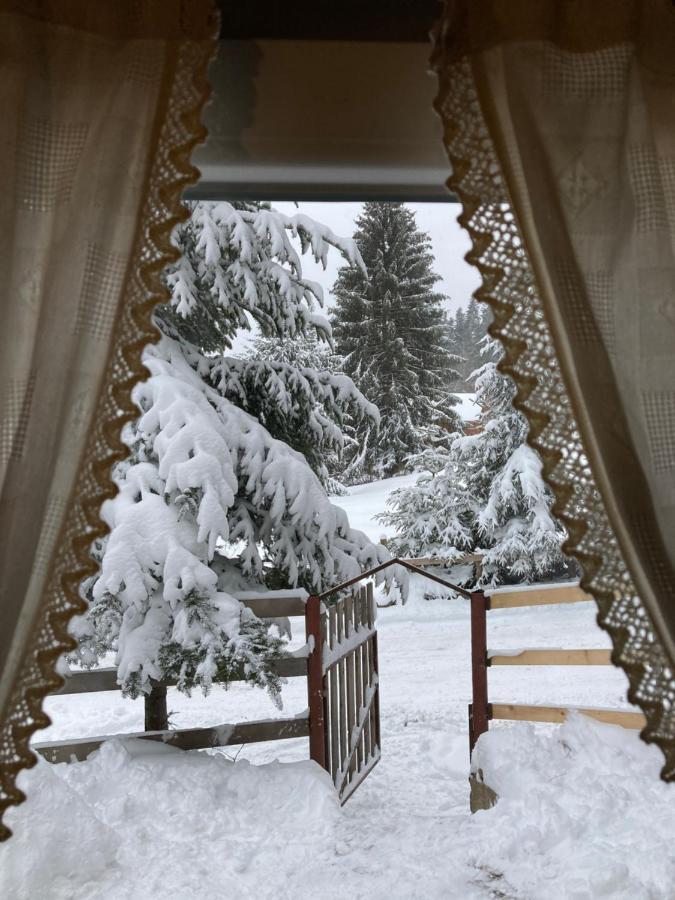 Ven Fenyo Kunyho Villa Ciceu Екстериор снимка